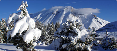 Wintersportvakanties Le Massif du Dévoluy